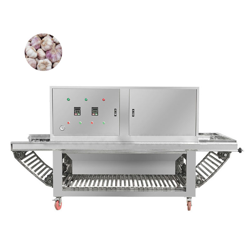 Machine Peeling Garlic Electric Garlic Peeler Processing Machine