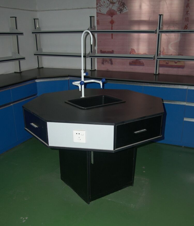 Octagonal Shape Lab Table Laboratory Furniture With PP Sink