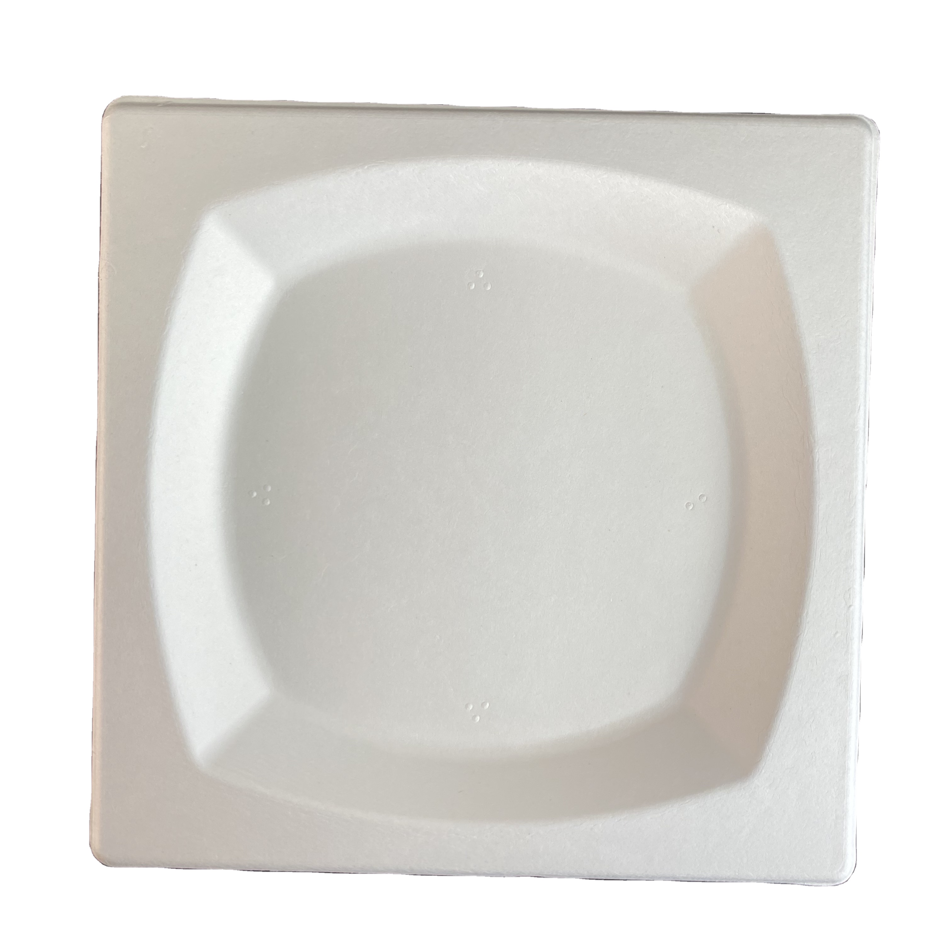 Customizable Environmental Protect Compostable Embossed Dinner Set Plates