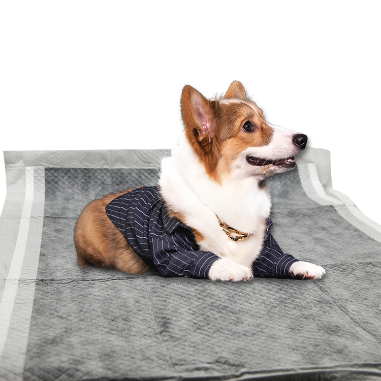 Private Label Bamboo Charcoal Dog Training Pee Pads with Stickers