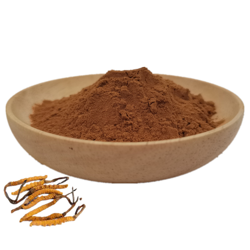 Поставка от производителя, полисахариды cordyceps sinensis, экстракт мицелия
