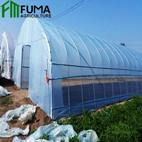 FUMA Mini Single Span Film Tomato Strawberry Tunnel Greenhouse for Sale