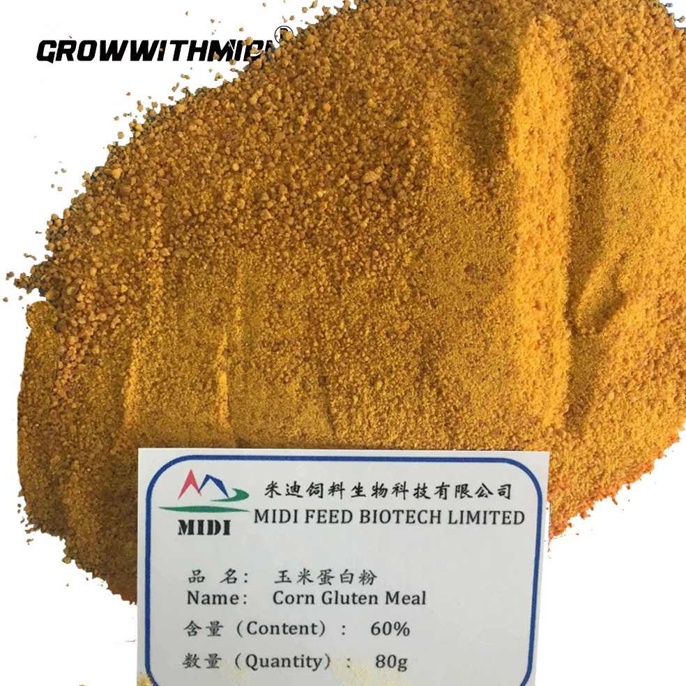 Corn Gluten Meal 60% for Animal Nutrition