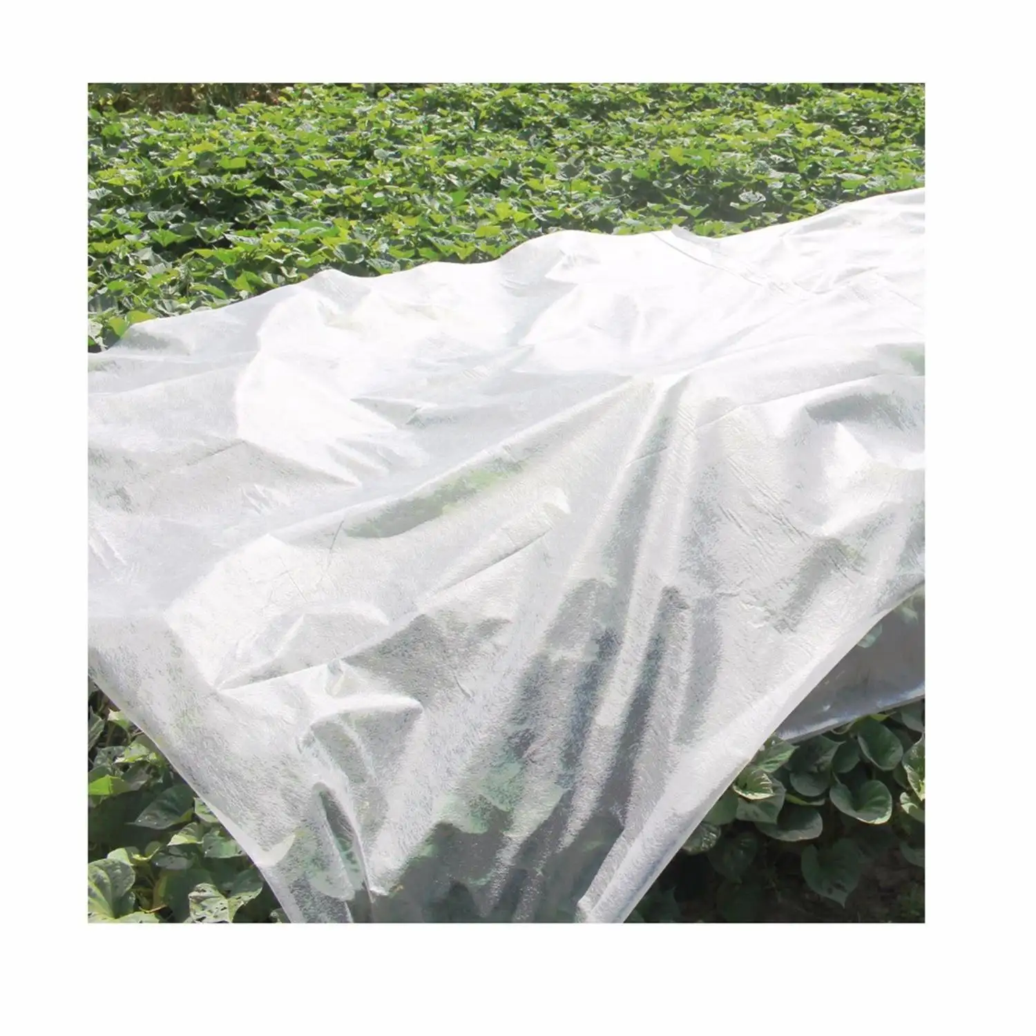 Non-woven Fabric The Blanket Frost Protection Plant Cover