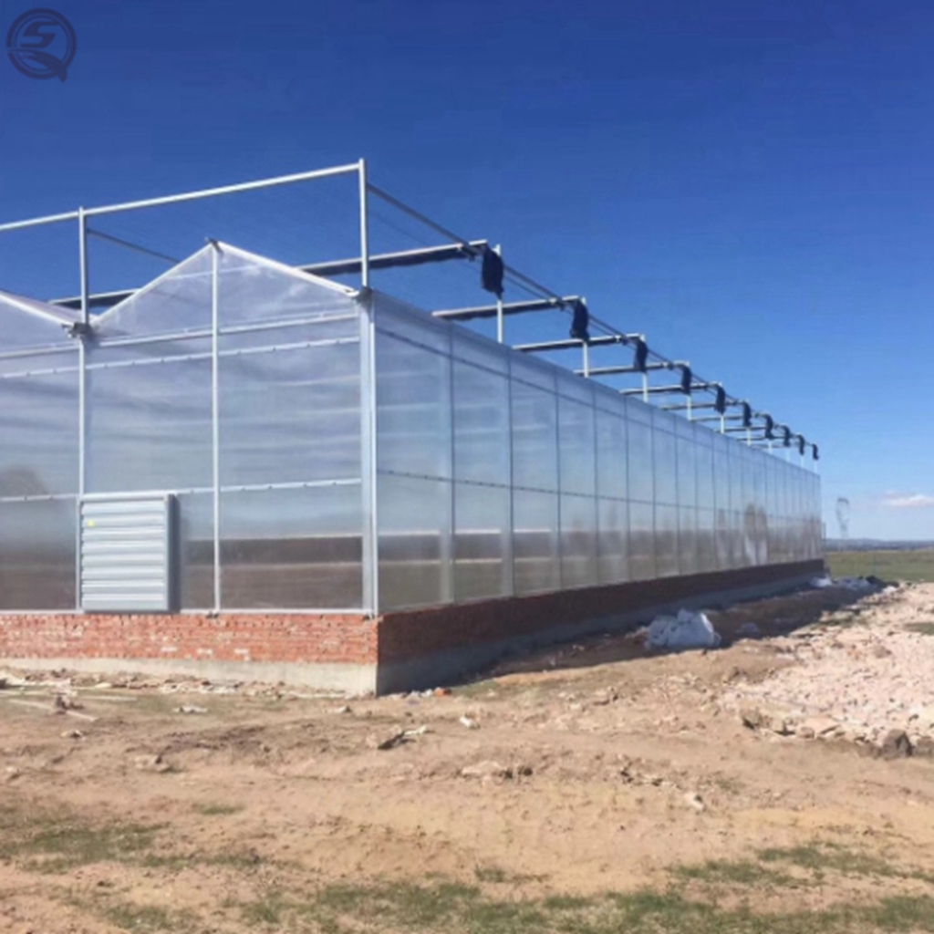 Glass Greenhouse Strong Anti-Corrosion Galvanized Agricultural Green House Steel Frame Machinery Equipment Green house for Sale