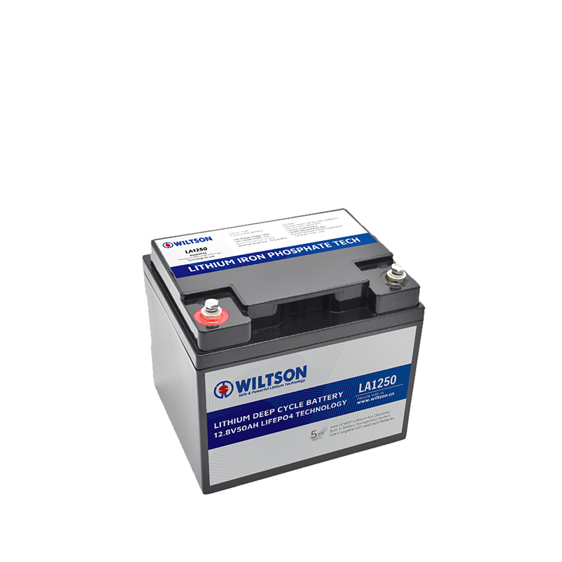 Factory hot sale lithium ion phophates battery 12v 24v 48v 20Ah 30Ah 55AH with 100% safety bms protection lead acid replacement