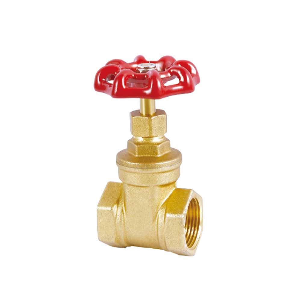 1 inch Pegler type brass gate valve for water