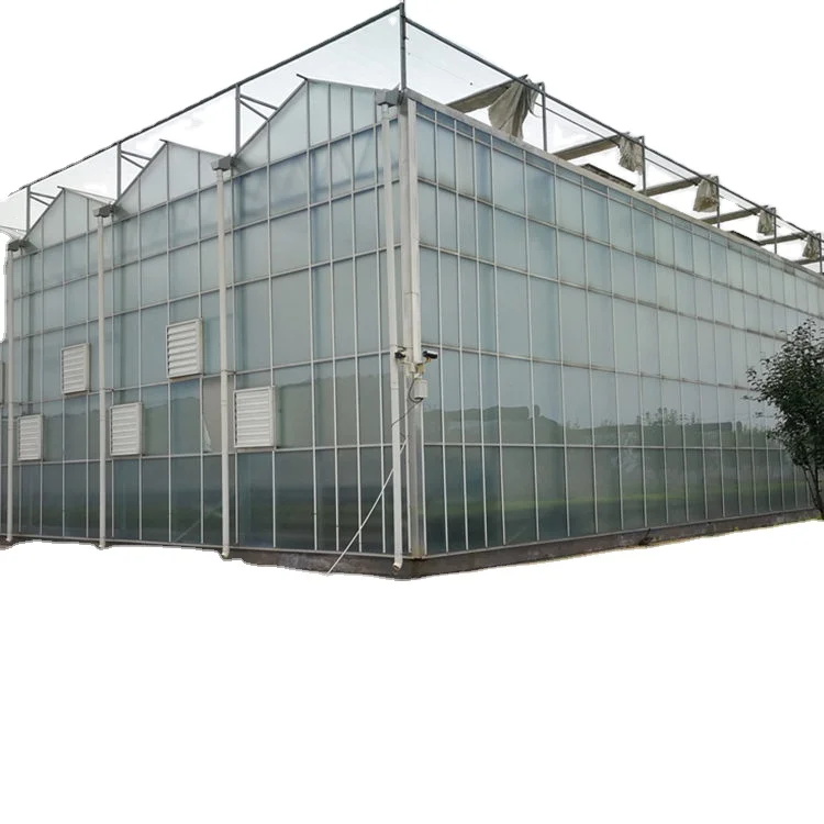 Sainpoly Large Size Glass Multi-Span Greenhouse High Quality Affordable Hot Selling China Wholesale Agricultural Greenhouses