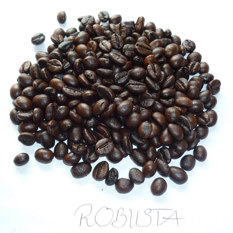 Wholesale Robusta Roasted Coffee Beans with European standards roasted from Factory in Viet Nam