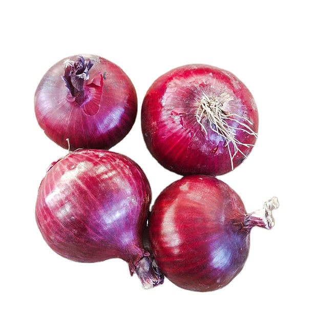Best quality red onion 50/70mm China fresh onion town supply