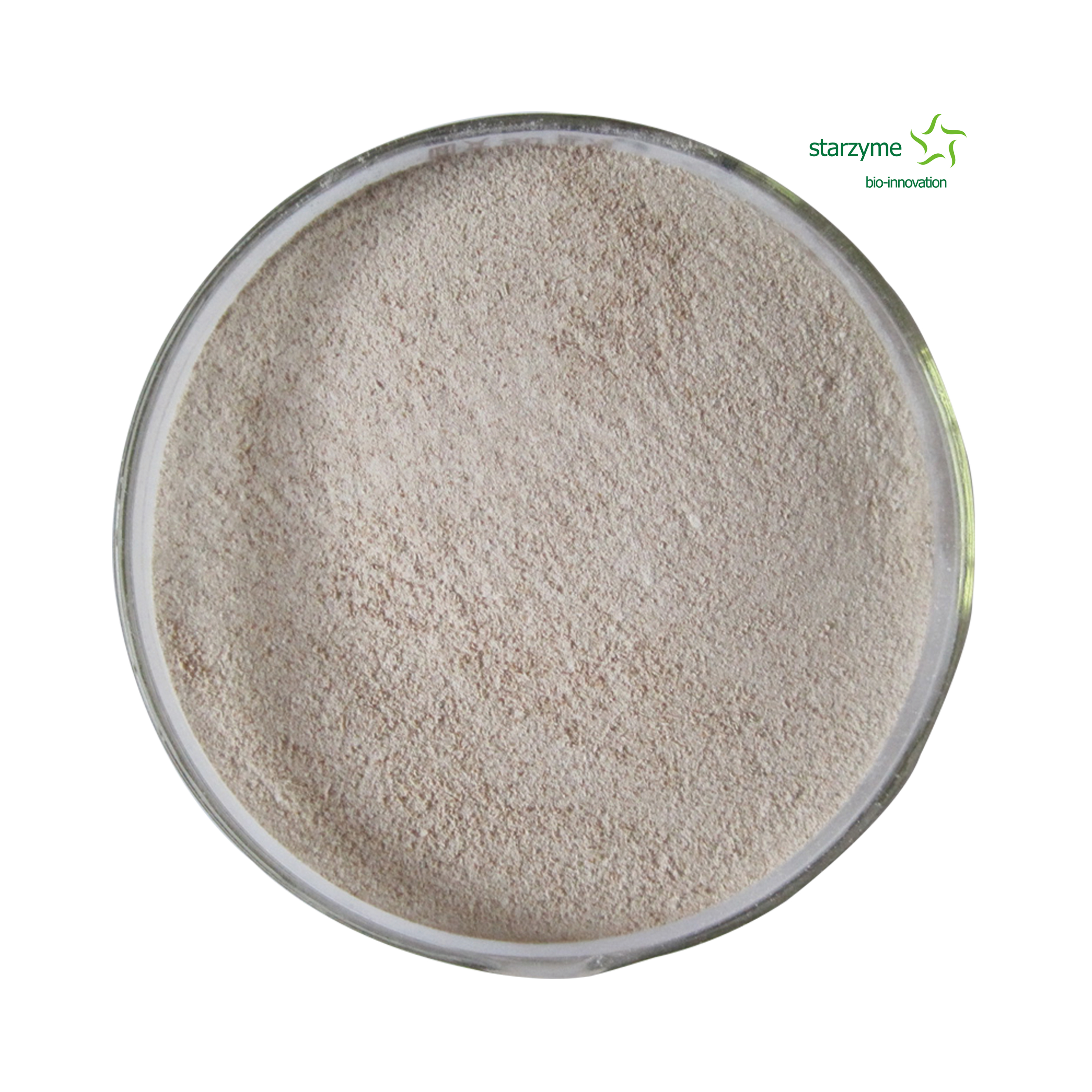 High Content Bacillus Subtilis Feed Grade Probiotics Powder
