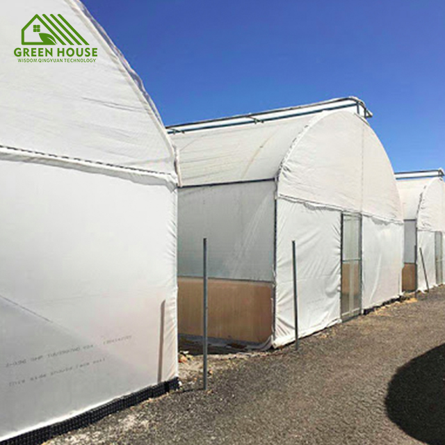 Low-priced agricultural vegetable greenhouses single tunnel mulching plastic greenhouses fruit pitaya cultivation