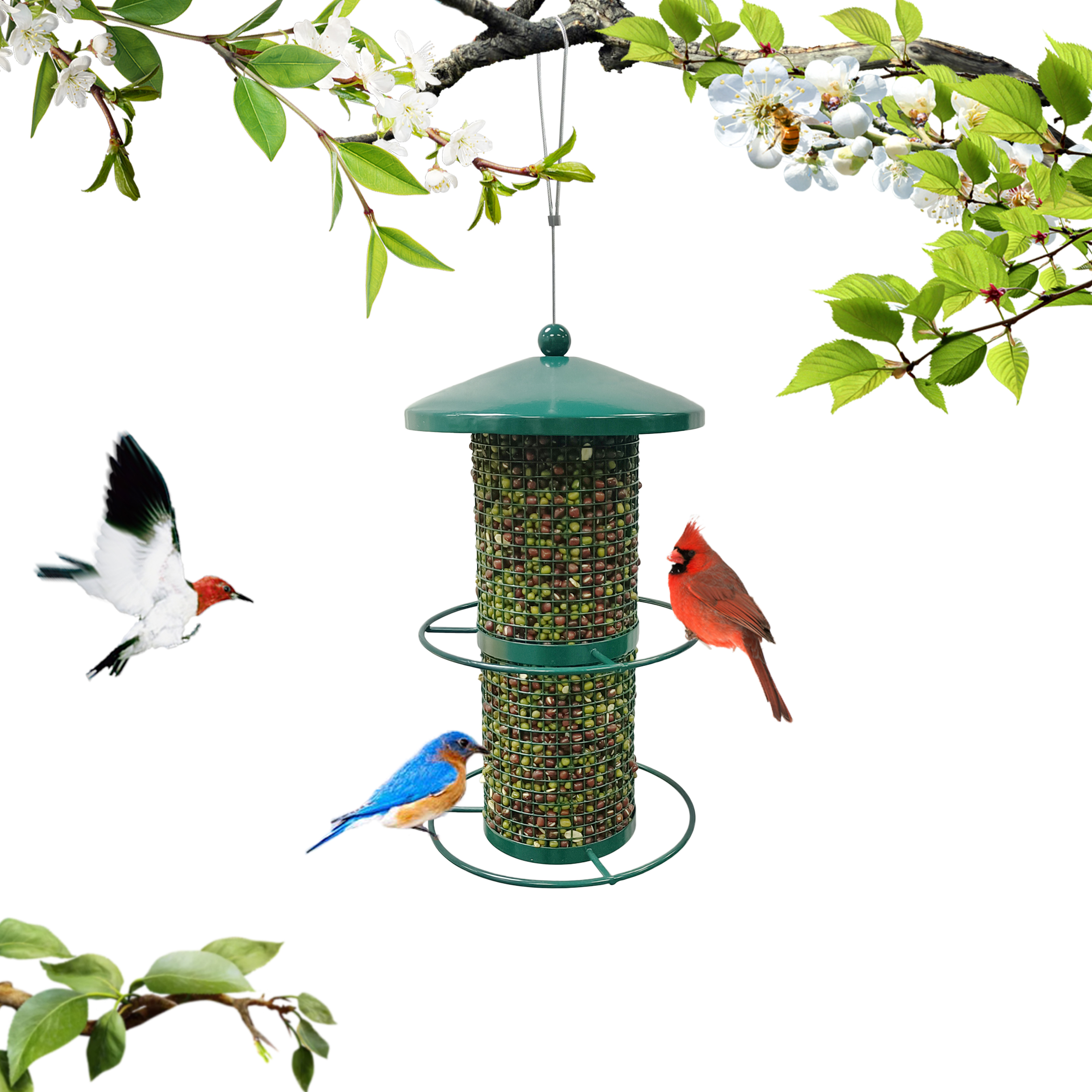 2021 Metal Double Circle Perches Hanging Nut Wild Bird Feeder For Garden Backyard Outdoor