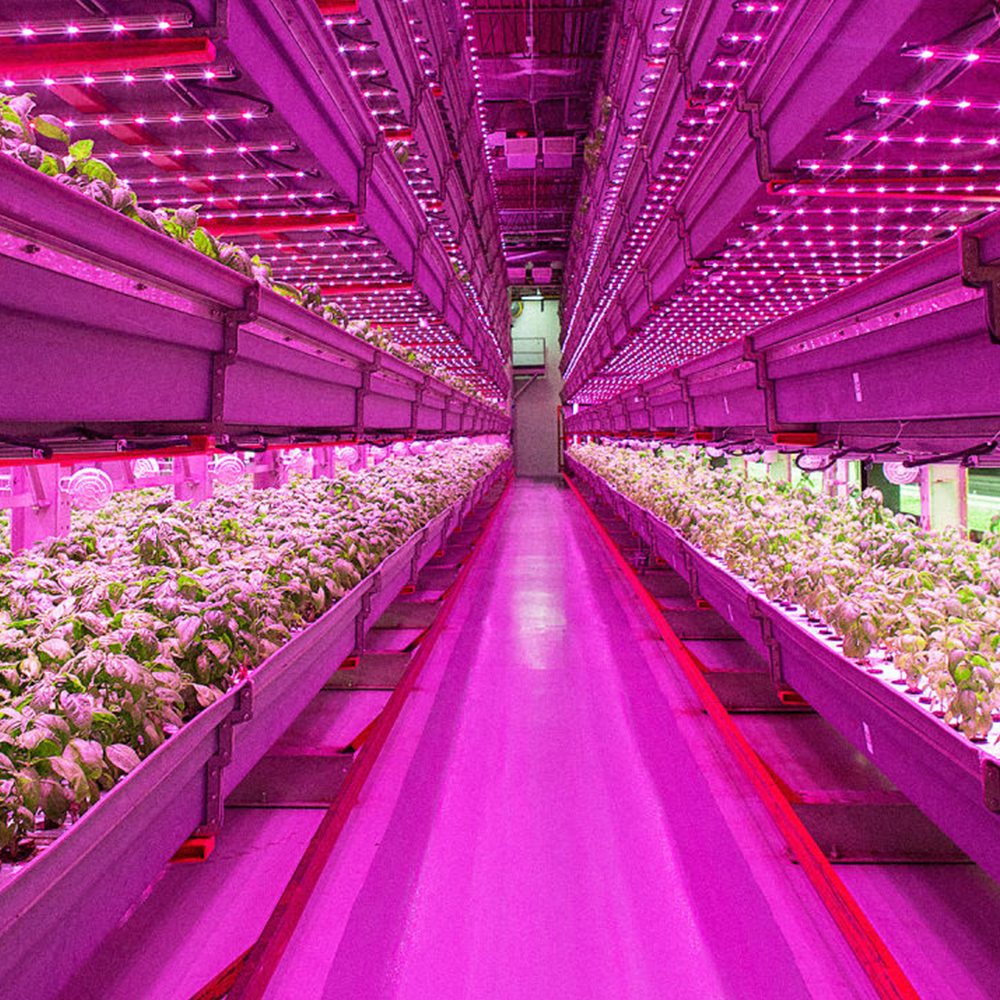 Energy-efficient Commercia Red 660nm Blue 430nm t8 led tube plant Indoor Plants Hydroponic Full Spectrum LED Grow Lights
