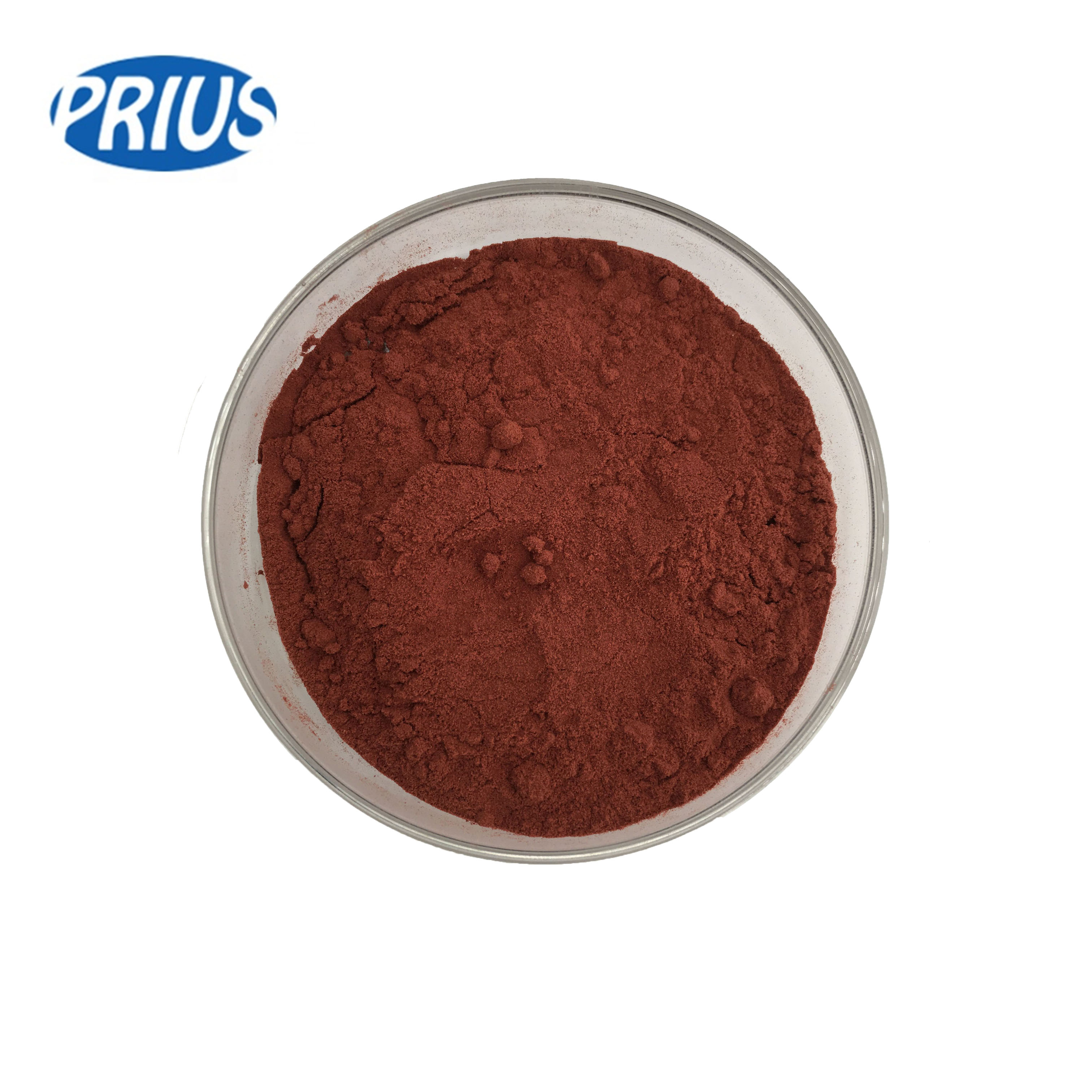 Natural Grape seed extract powder 95% OPC 95% Proanthocyanidin