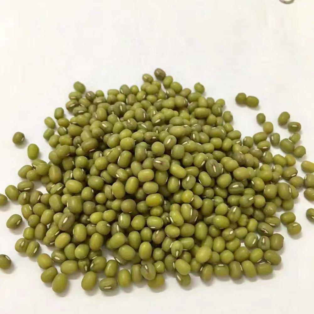 3.0mm-3.4mm Food Grade Mung Bean Price