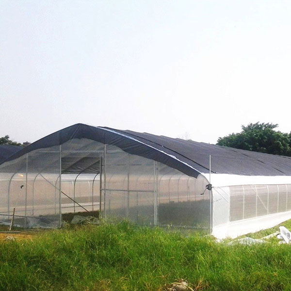 Commercial low cost plastic film agriculture hoop house singlespan greenhouses