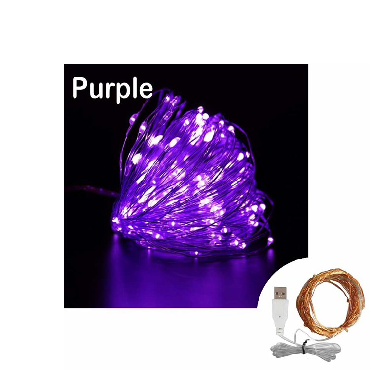 Outdoor Festival Led Fairy String Lights Led Twinkle Lights for Christmas and house Decoration