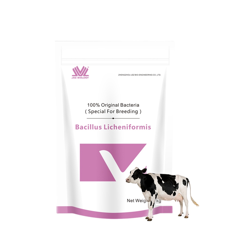2021 New Wide Range Of Uses Easy To Use Bacillus Licheniformis Powder Aquaculture Water Treatment