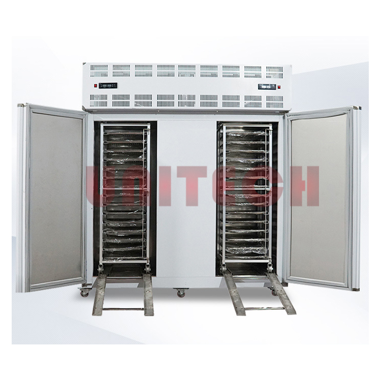 Chicken Fish Blast Frozen Freezer Machine Chiller Commercial Fish Industrial Quick Large Blast Freezer For Sale