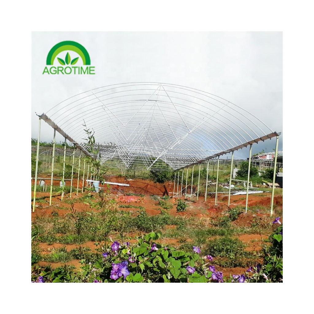 low cost multi-span steel structure plastic film greenhouse and vegetable greenhouse with hydroponics