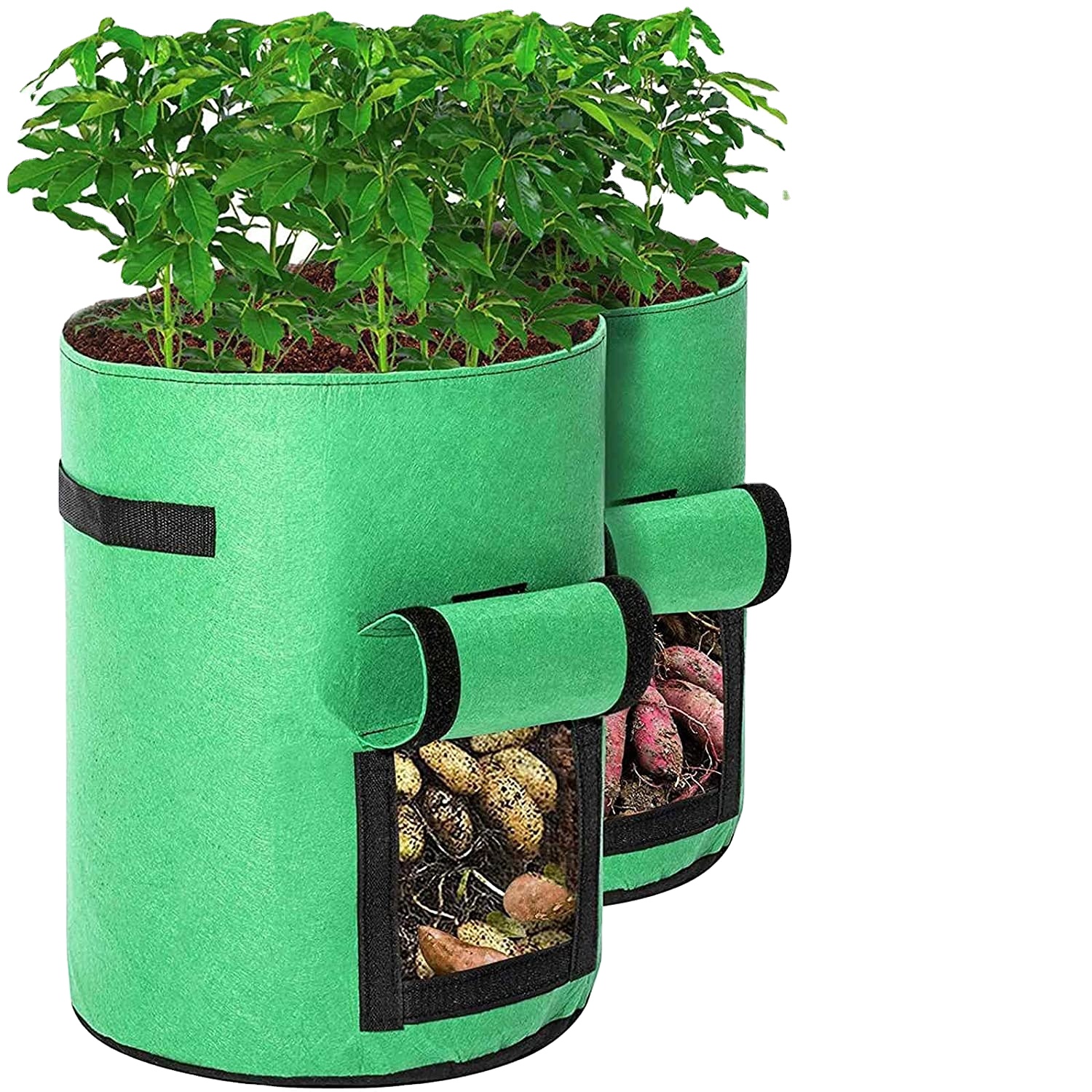 Grow Bags Two-Sides Window Garden Planting Bag with Durable Handle