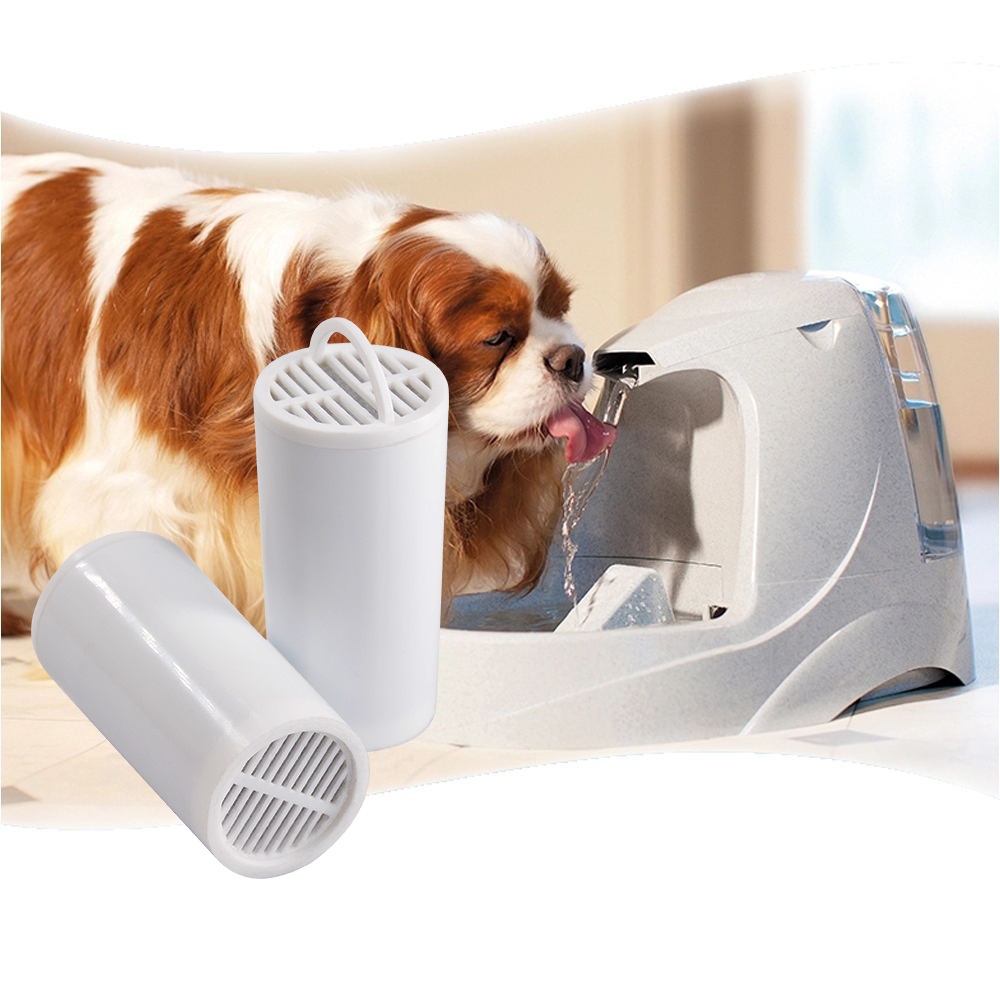 Replace filter of the pet water dispenser to remove peculiar smell and residual chlorine