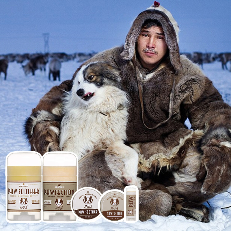 OEM Private Label Organic Protection Soother Wax Pet Paw Butter Heals Repairs Damaged Dog Paws Natural Paw Balm