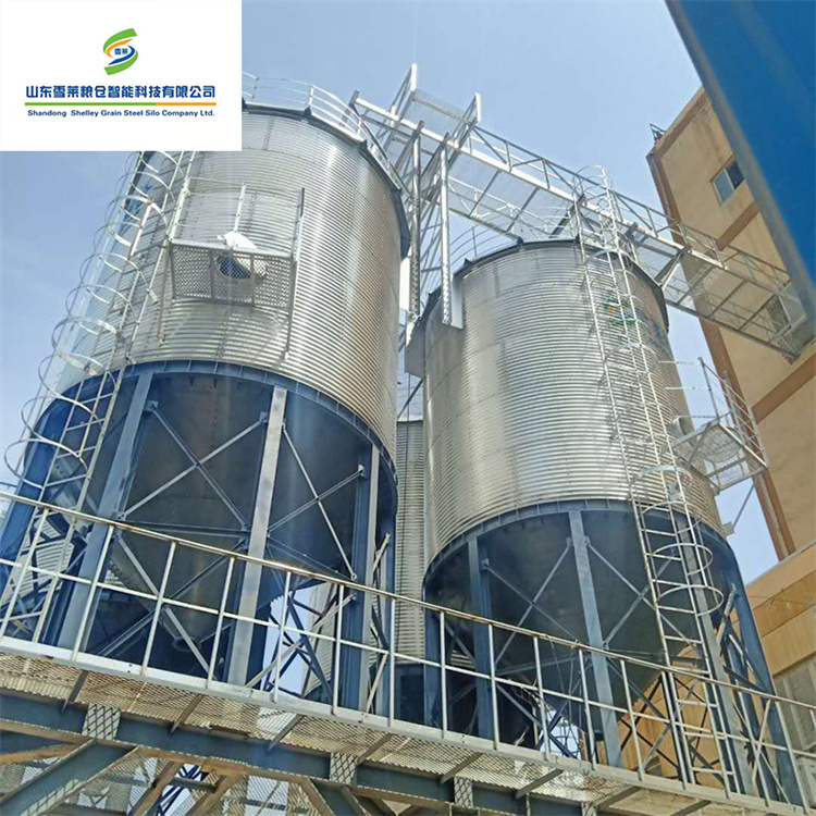 Durable Multifunctional Grain Silo for Farm