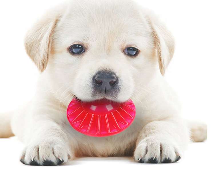 Custom Logo Pet Food Dispensing Dog Toy Pet Flying Discs Toys