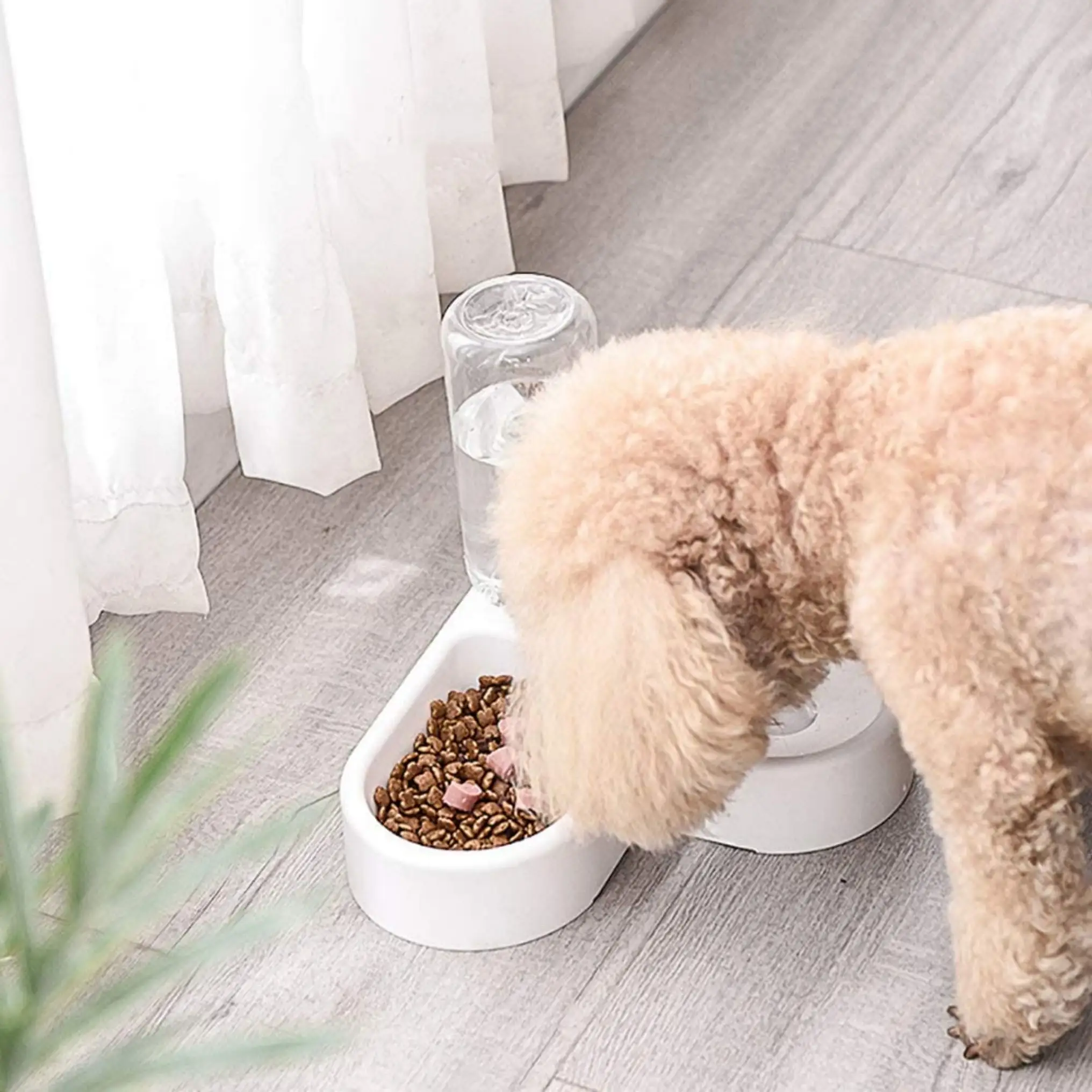 Amazon Top Seller Automatic Pet Drinking Bowl Dog Feeder Pet Bowls For Cats And Dogs In The Corner