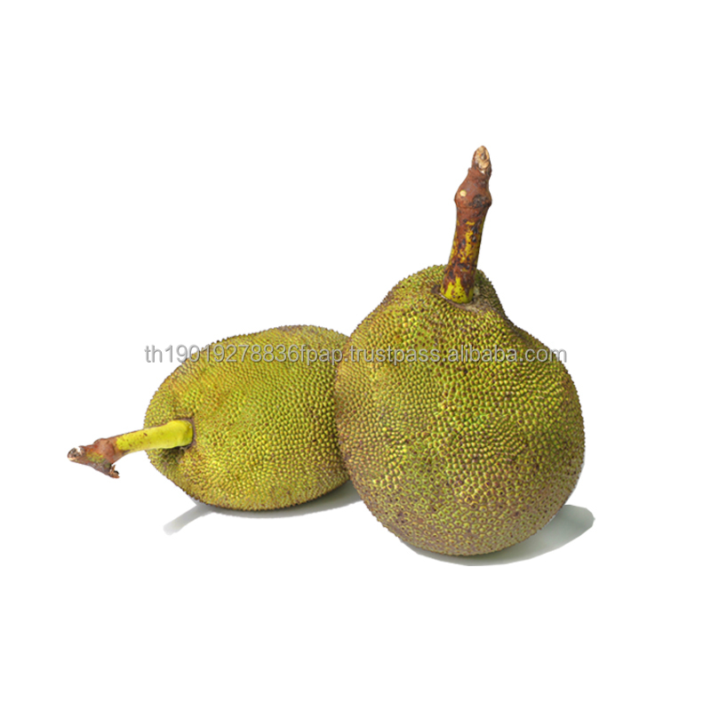 Качественный выбор Jackfruit тайские фрукты сладкие и вкусные Jackfruit T8 свежие Jackfruit обработанные высокого класса из Таиланда