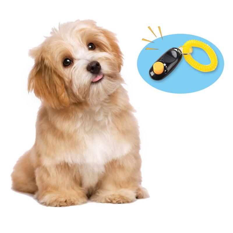 Manufacturer Pet Click Clicker Agility Trainer Aid Wrist Strap Pet Supplies dog training clicker