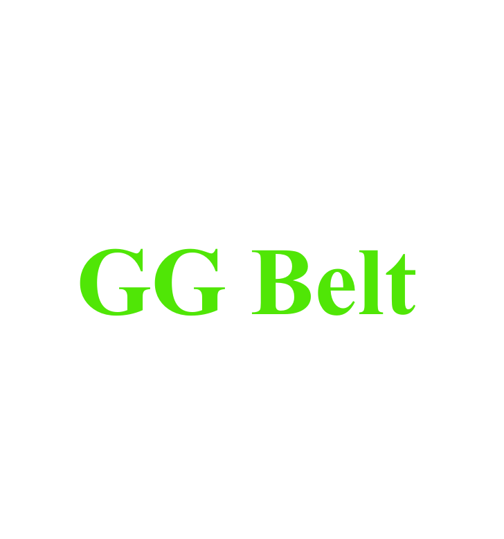 Китай, оптовая продажа, дизайнерские ремни gg от известных брендов, дизайнерские женские ремни для дам
