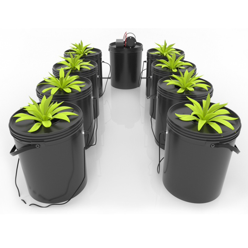 Dwc гидропонная система Grwoing ведра Cloner kit Pot