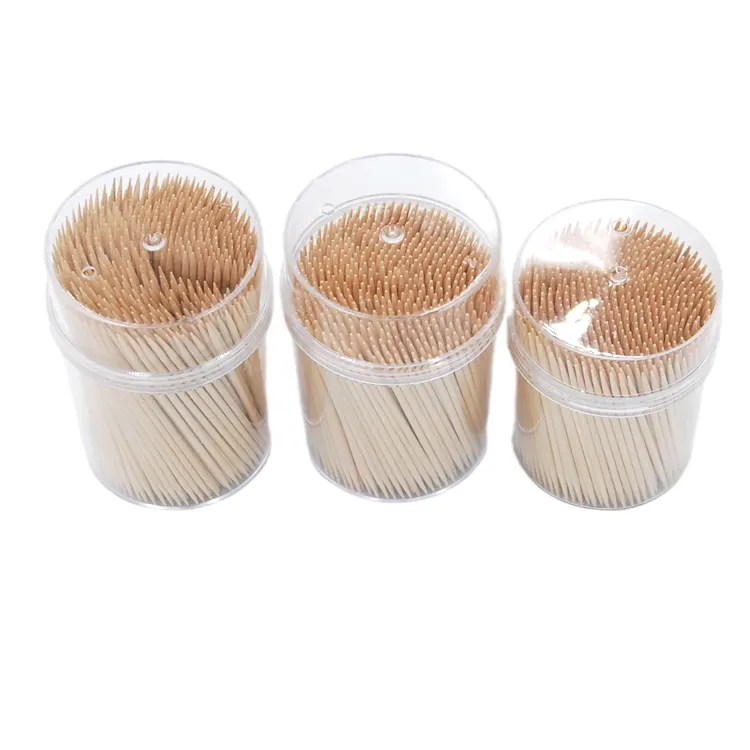 Special Custom-made Assorted Disposable Bamboo Plastic Tube Toothpicks