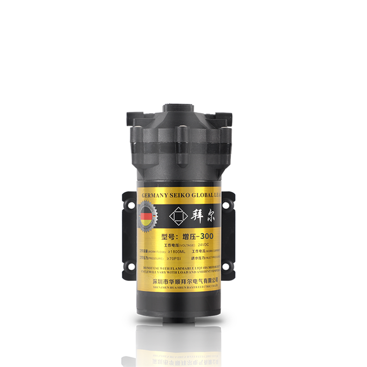 Best Selling Promotional Price High Pressure Ro System Water Booster Pump 300g Booster Water Pump