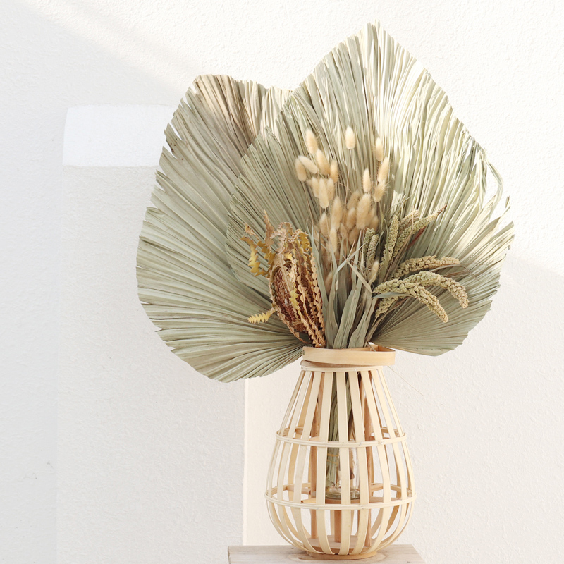 1pc Natural Dried Flower Palm Leaf Fan Plant Palm Dried Tree Leaves Home Garden Wedding Party Living Bedroom Table Decoration