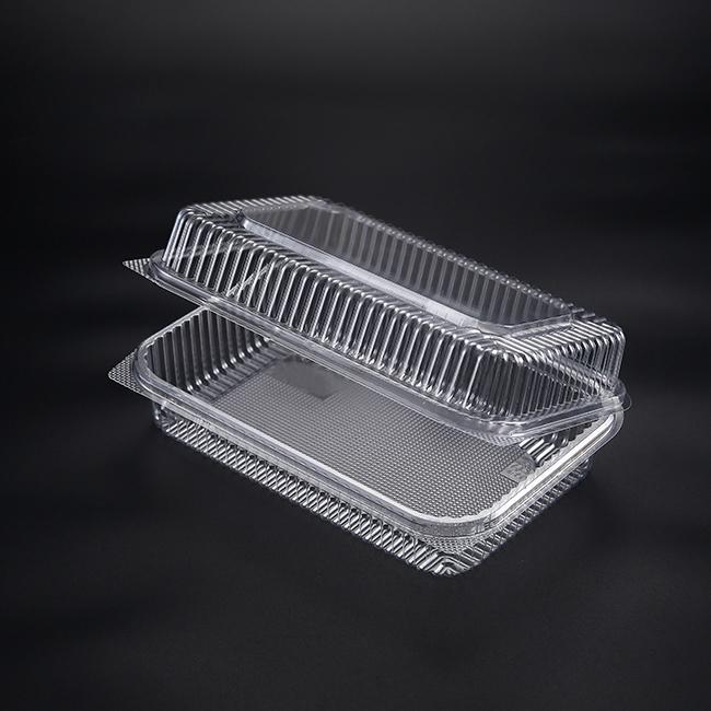 Plastic Food Container Disposable disposable Containercustom Container