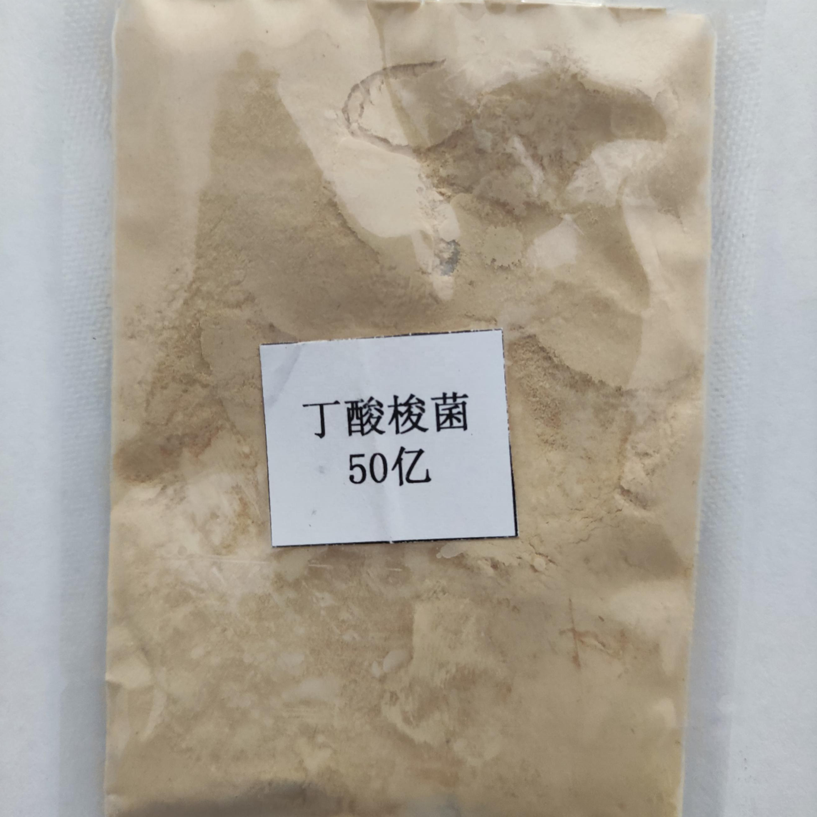 Aquaculture Fish Shrimp Feed Probiotic Clostridium Butyricum Powder
