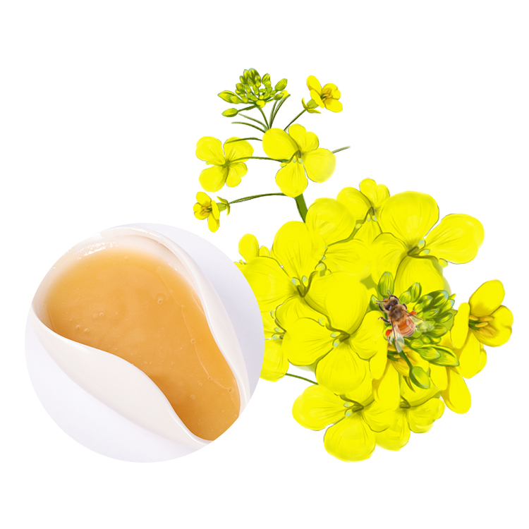 Pure raw honey products 100% natural bulk suppliers Bee honey