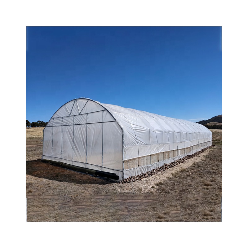 Anti UV Plastic+Shed Poly Film Other Agriculture Single-span hoop greenhouse