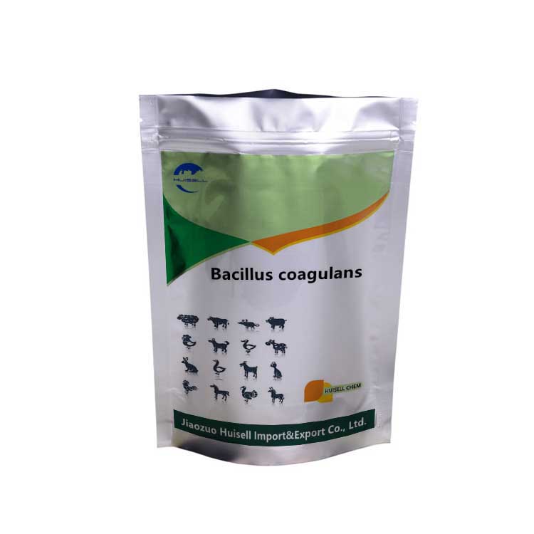 Bacillus Coagulans/Lactobacillus sporogenes пищевой/кормовой от профессионального производителя, популярная кормовая добавка