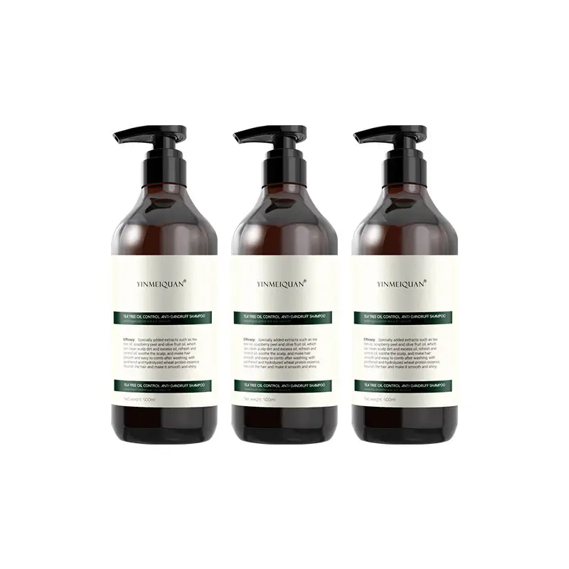 factory price tea tree refreshing oil control anti-dandruff shampoo hair care