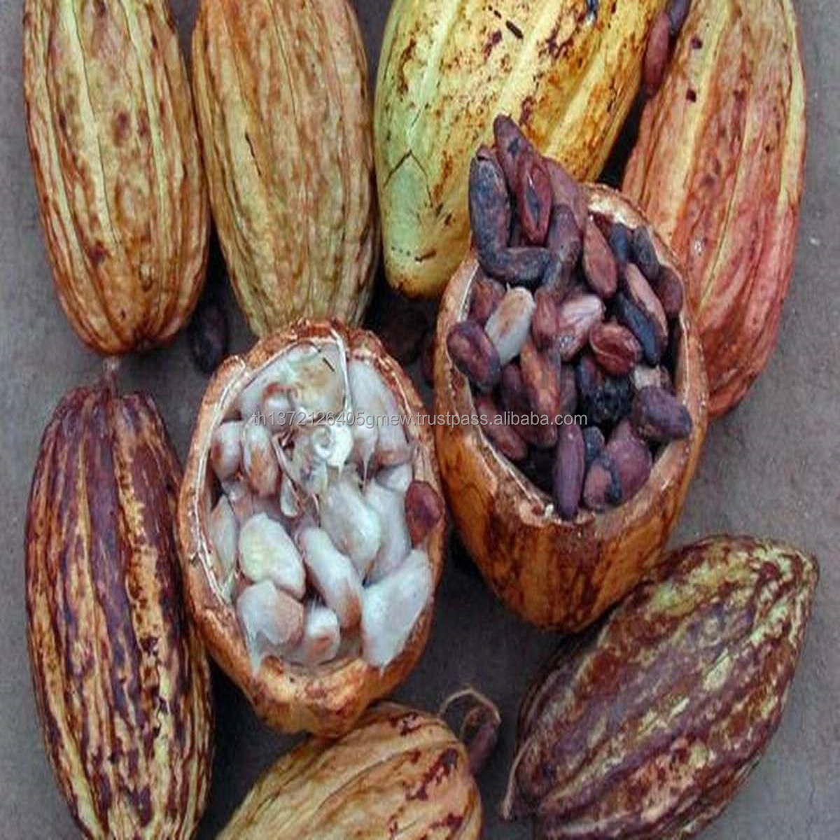 Какао наконечники для продажи