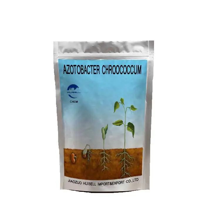 High Efficiency And No Pollution Azotobacter Chroococcum Moderate Nitrogen Fixation Bacterial Fertilizer