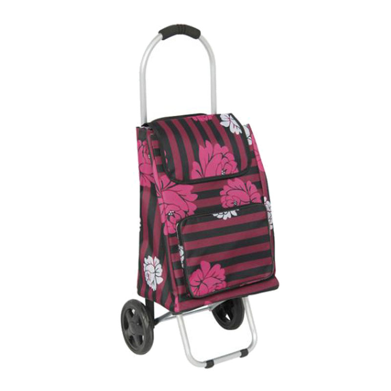 Hot Sale Folding Cart Foldable Shopping Trolley with Aluminium Expansion Stick