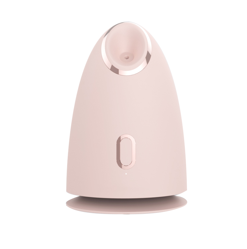 One-button Operation Compact And Light Custom Cheap Steam Face Facial Steamer