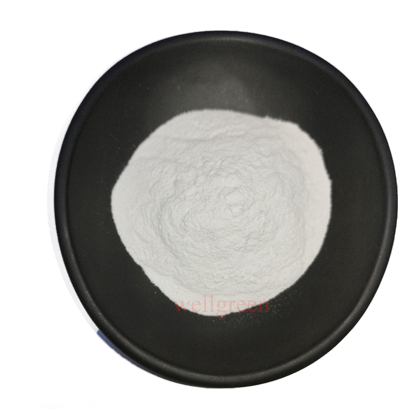 Wellgreen поставка лучшая цена Chitosan фармацевтический класс