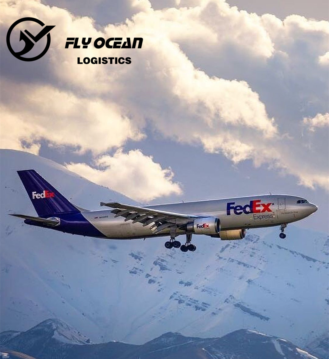 Fedex авиаперевозка курьерская служба Экспресс доставка от двери до двери Китай в Германию время перевозки Логистика глобальное Происхождение Шэньчжэнь
